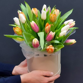 Разноцветные тюльпаны в коробке
