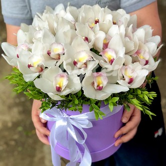 Белые орхидеи в коробке