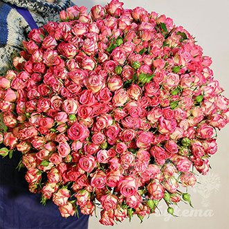 101 кустовая роза 70 см