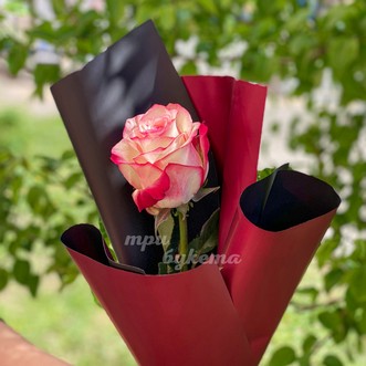 Мини-букет из розы Эквадор