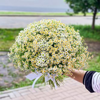 Пышный букет кустовых хризантем и ромашек